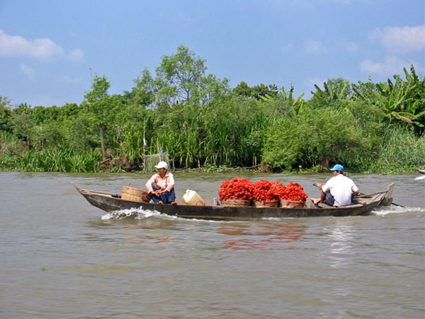 Đồng bằng Sông Cửu Long