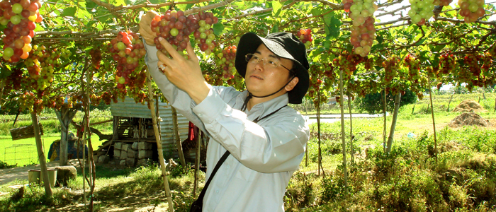du lich,Về Phan Rang nếm đủ "vị đời"