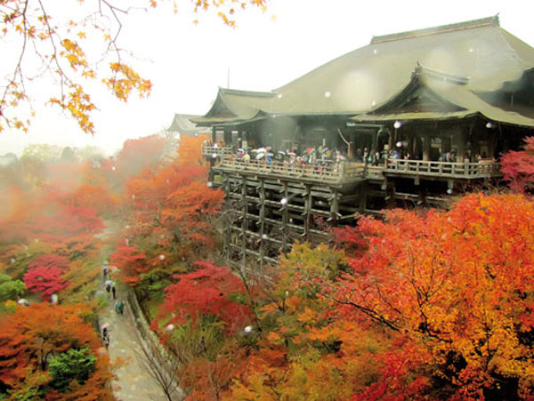 du lich,NHẬT BẢN - NÚI PHÚ SỸ (Tokyo - Osaka)