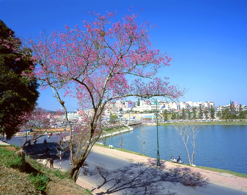 du lich,DALAT 2